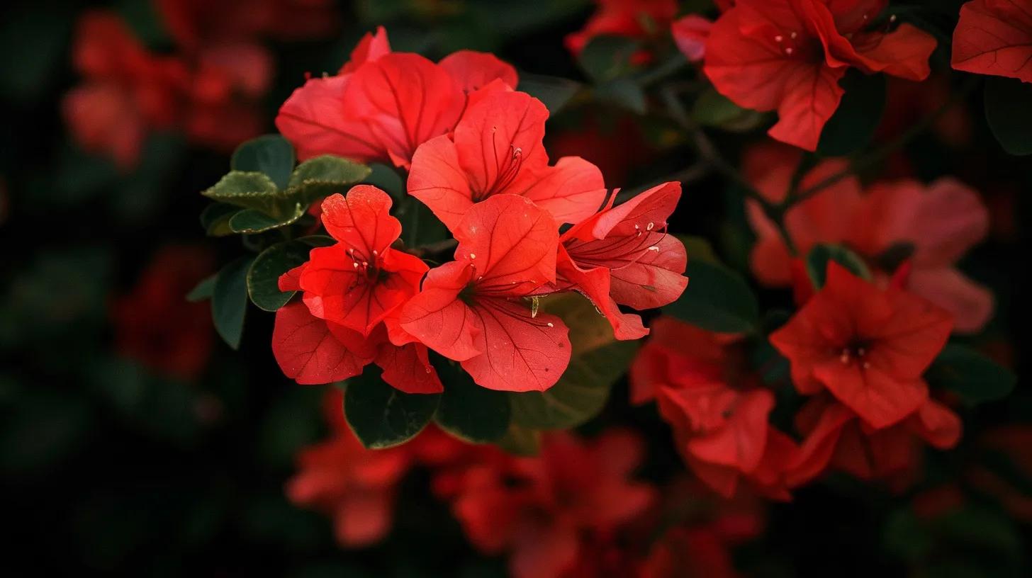 red flowers
