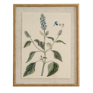 Flora & Fauna Collection Salvia On Linen In Beaded Frame