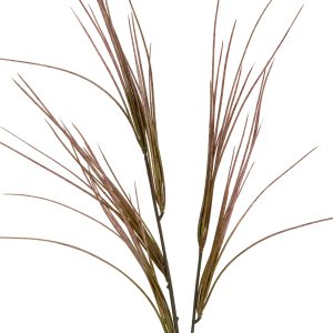 Brome Grass Spray