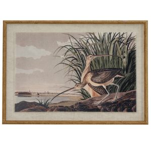 Flora & Fauna Collection Curlews On Linen In Beaded Frame