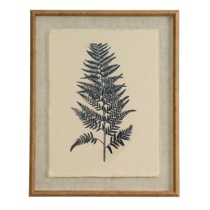 Flora & Fauna Collection Beech Fern On Linen In Beaded Frame