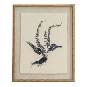 Flora & Fauna Collection Spleenwort On Linen In Beaded Frame